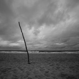 Loneliness. # 1