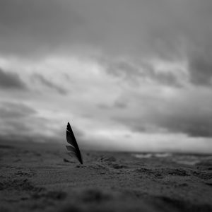 Loneliness. # 3