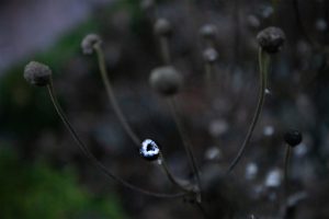 Bernardine Garden. # 2.
