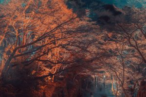Evening Glow at Kiyomizu