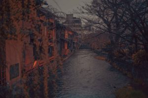 Canal of Whispering Shadows