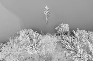 Winter is coming
