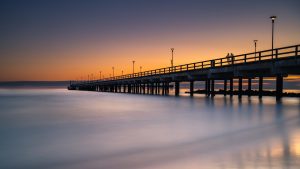 The Bridge