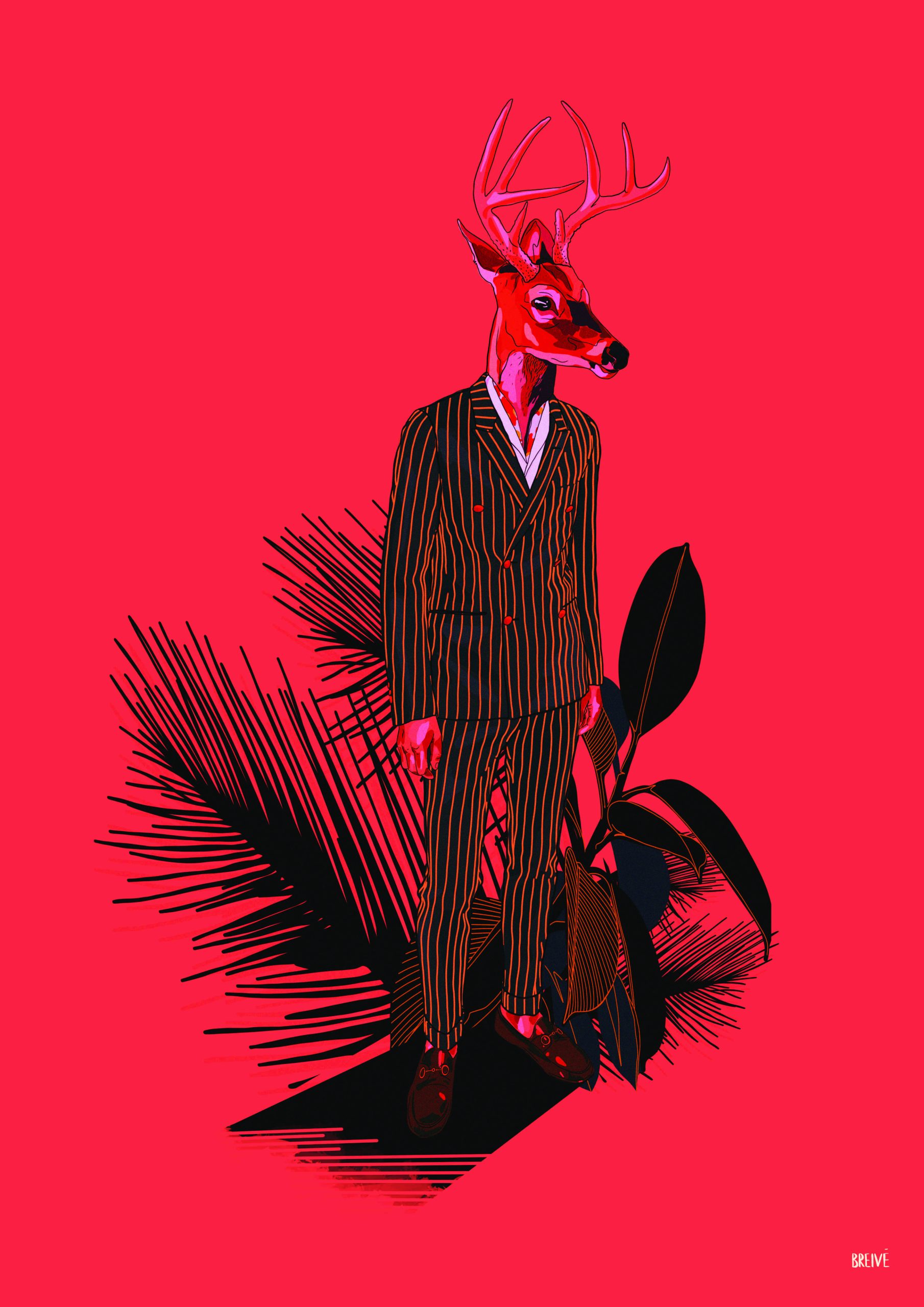 Deer