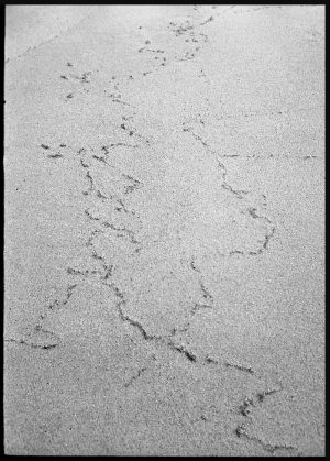 Sand pattern