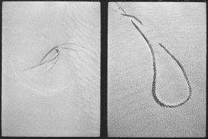 Maryne diptych