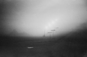 Fog day 2