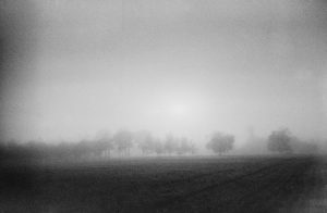 Fog day 5