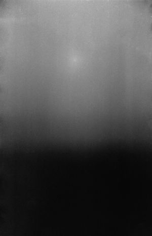 Fog day 3