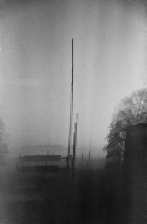 Fog day 4
