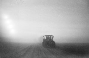 Fog day 6