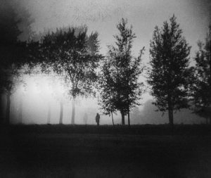 Fog day 1