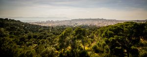 Cagliari