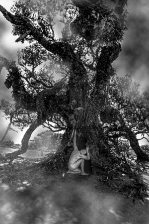 Roots of Silence 2