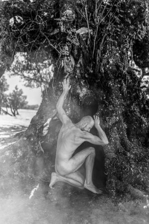 Becoming Earth