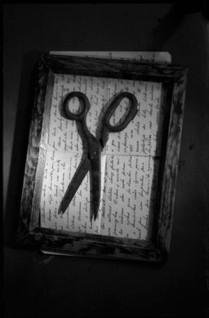 Still life with scissors 1