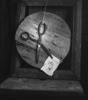 Still life with scissors 2