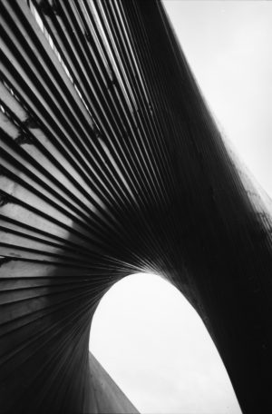 Sky Ladder