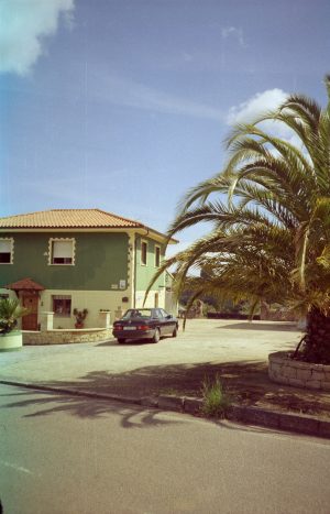 Sunny