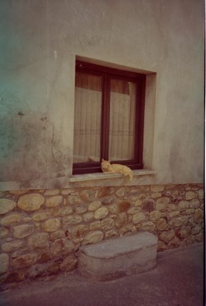 Window