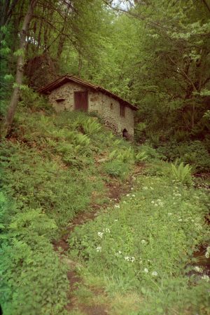 Elf path