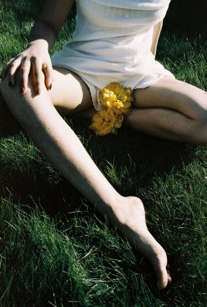 Bloom