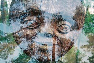 Eyes of Forest