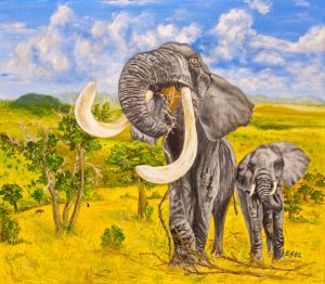 Elephants