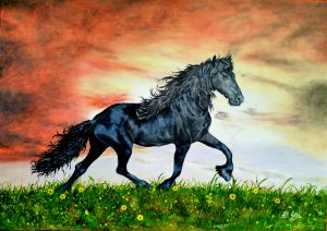 Horse