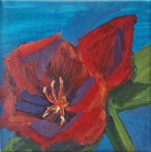 Amaryllis II