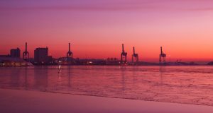 Pink Winter Evening