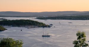 A busy Fjord