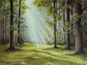 Breath of the forest