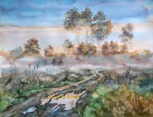 Morning after the rain