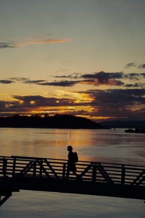Silhouette