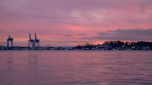 Pink Sky