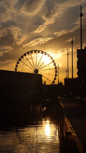 Carnival bay