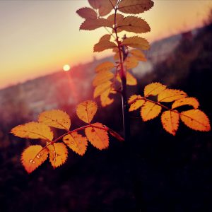October magic