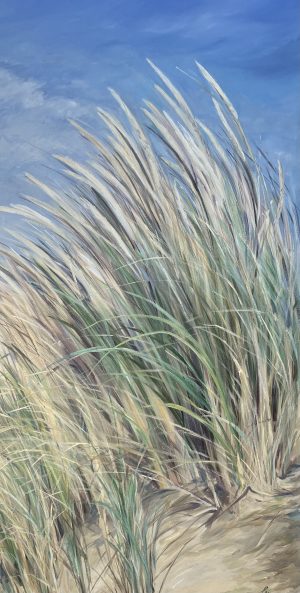 Weathered by the Wind