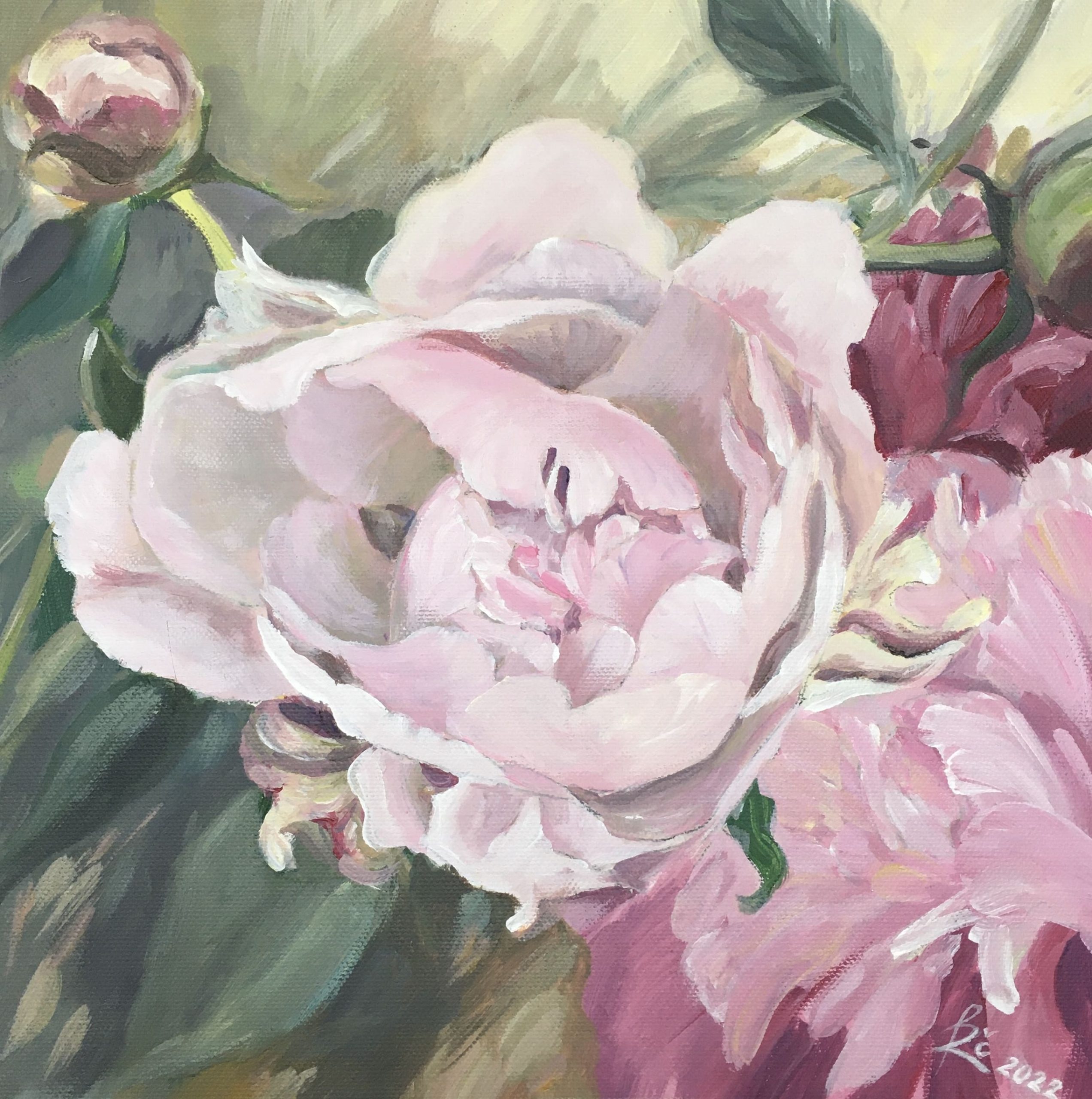 Blooming Peonies