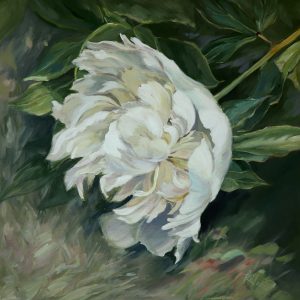 White peony
