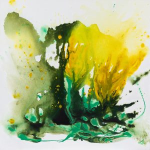 Spring Explosion