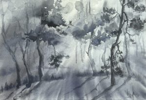 Forest silence